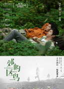 《梦幻世界》的社交功能：交友与团队合作攻略